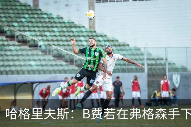 哈格里夫斯：B费若在弗格森手下说这话，就没机会再上场了