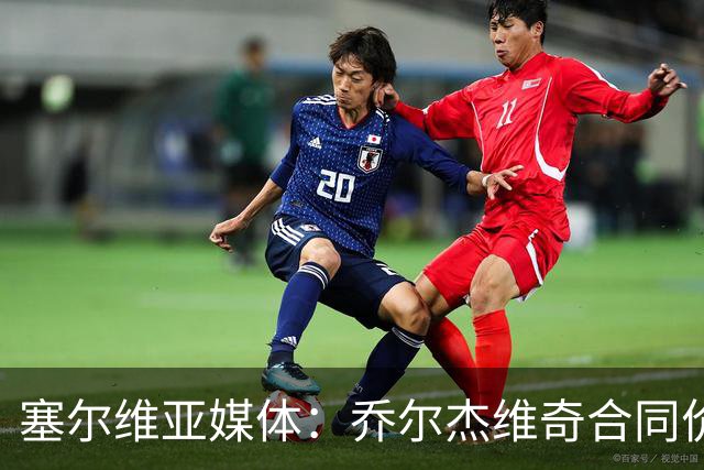塞尔维亚媒体：乔尔杰维奇合同价值100万美元