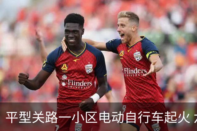 平型关路一小区电动自行车起火 六车烧毁幸无人受伤