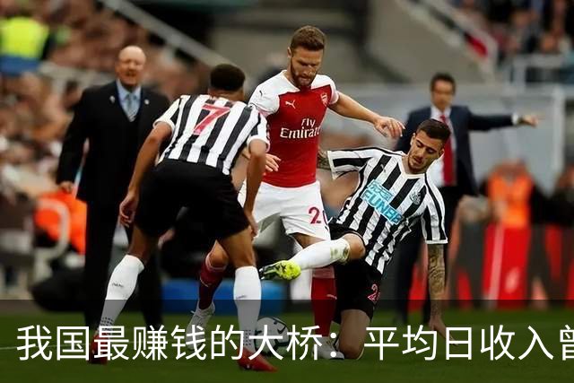 我国最赚钱的大桥：平均日收入曾高达上千万，到底为啥如此吸金？