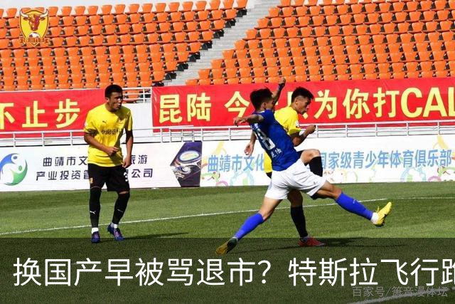 换国产早被骂退市？特斯拉飞行跑车吵翻全网