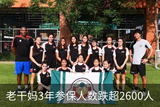 老干妈3年参保人数跌超2600人