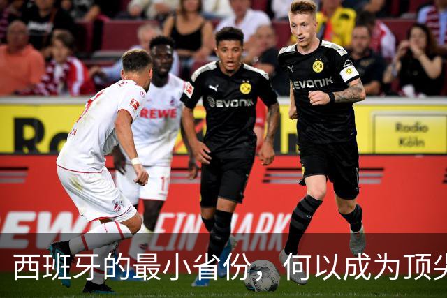 西班牙的最小省份，何以成为顶尖足球教练温床？