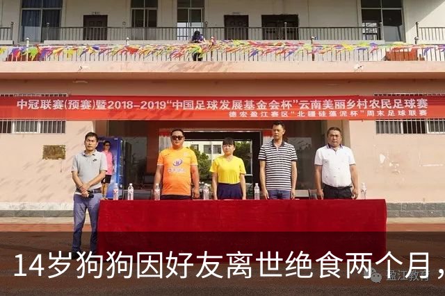 14岁狗狗因好友离世绝食两个月，主人急坏了，特地准备了一顿烤肉，没想到剧情直接反转！
